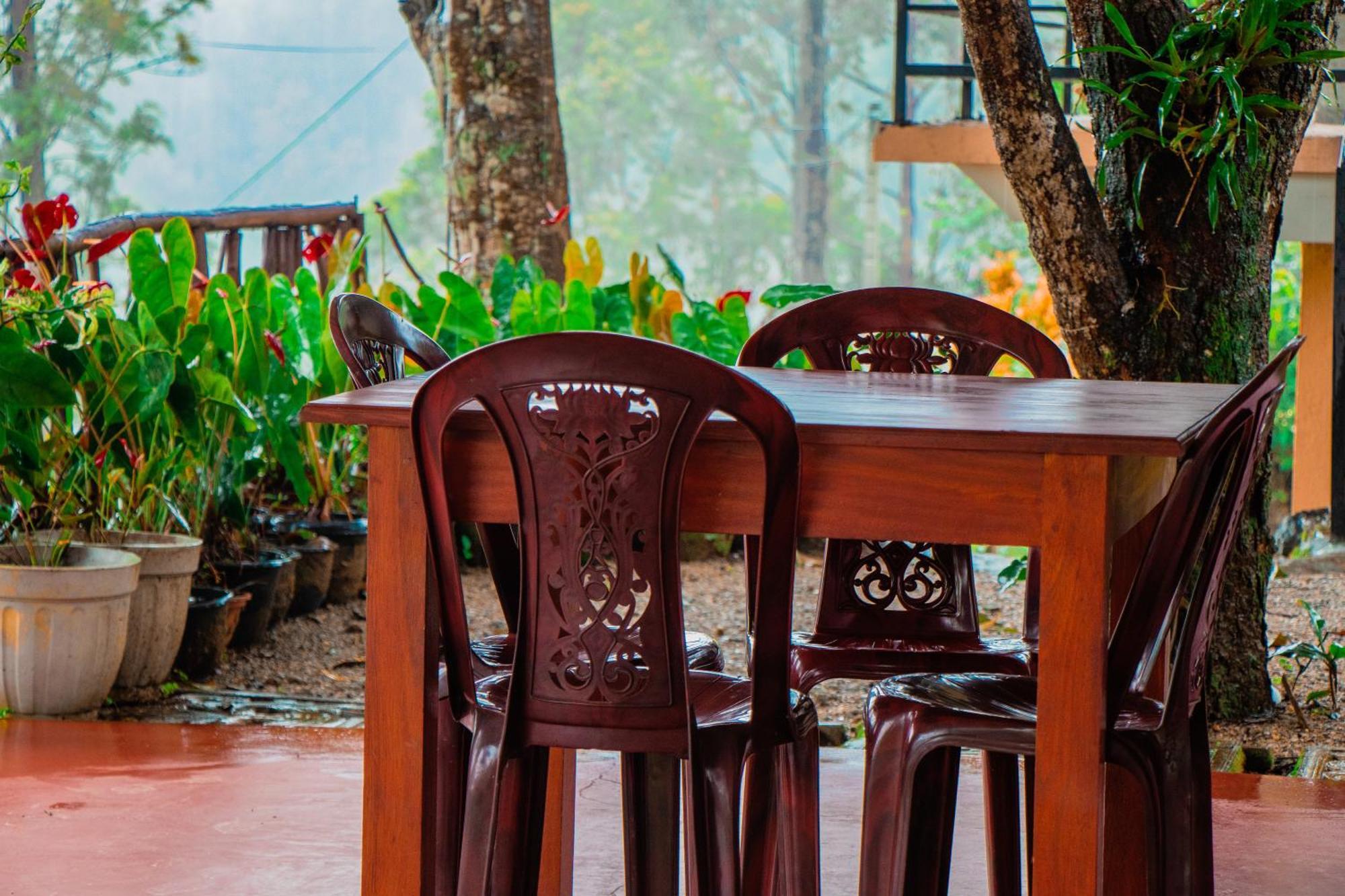Nine Arch Homestay Ella Buitenkant foto