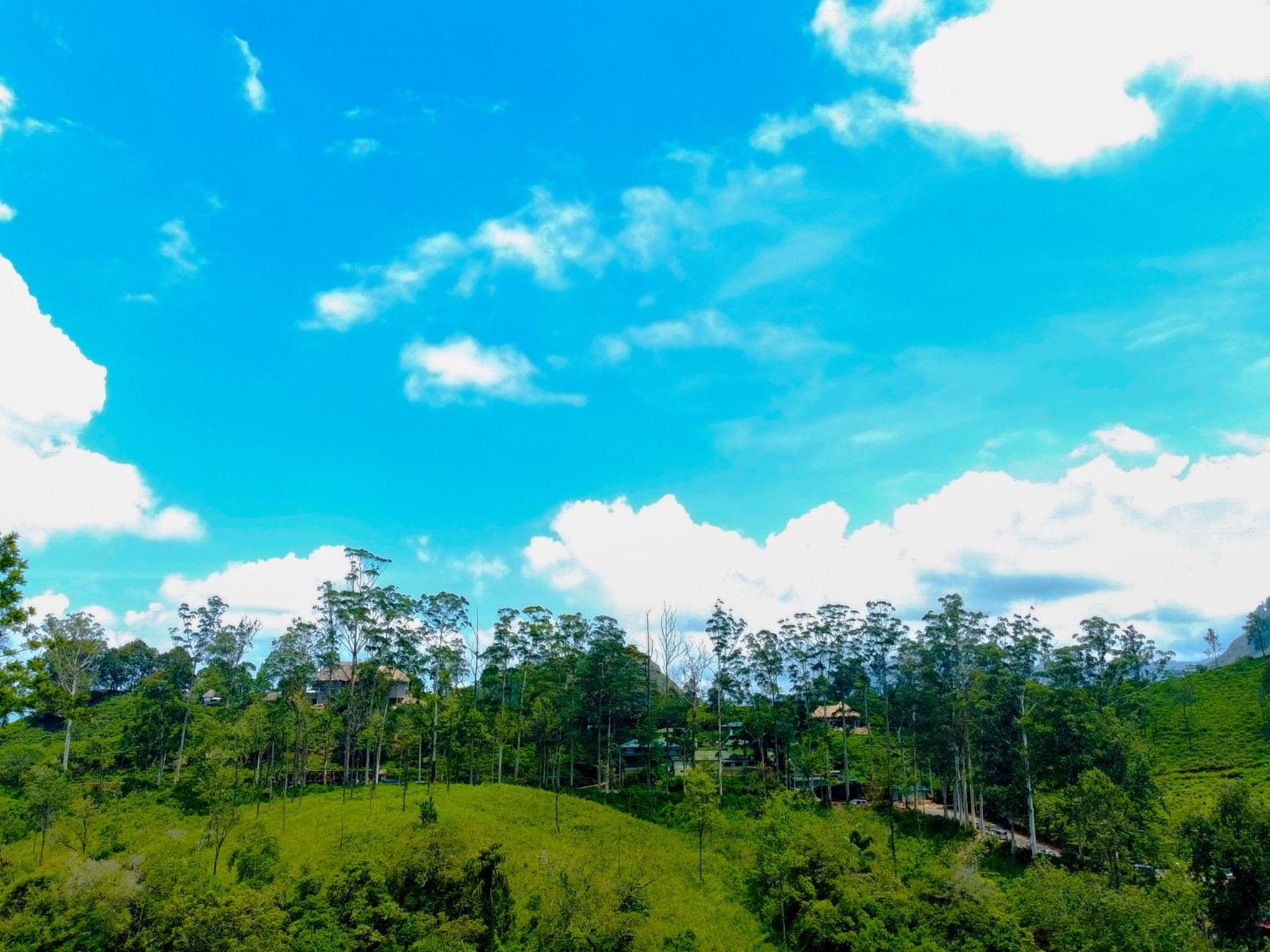 Nine Arch Homestay Ella Buitenkant foto